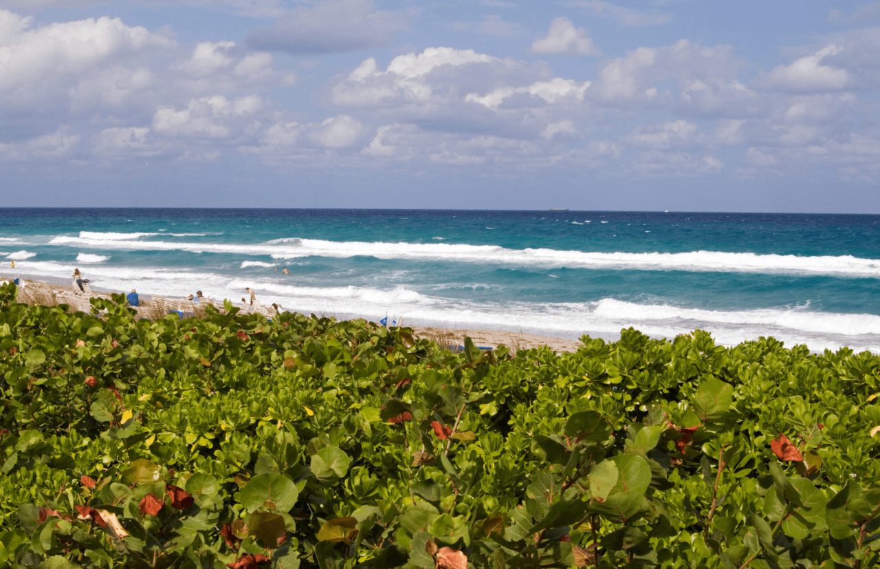 Pet Information In Boca Raton, FL 33487 Healthy Pets Boca North