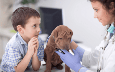 What Vaccinations Does My New Puppy Need?