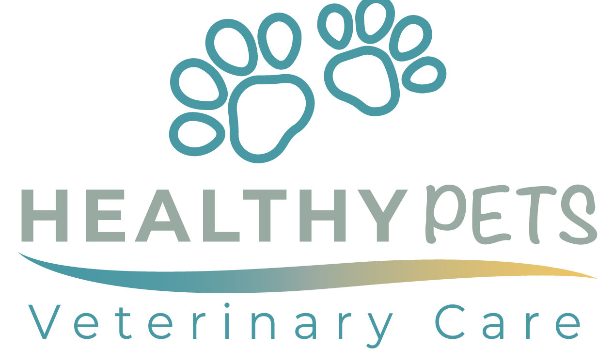 Best Veterinary Hospital In Boca Raton, FL | Healthy Pets